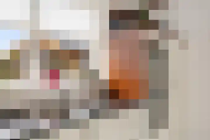 Margrietlaan 9 Zuidlaren thumbnail 15