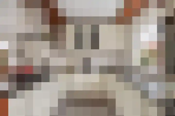 Margrietlaan 9 Zuidlaren thumbnail 16