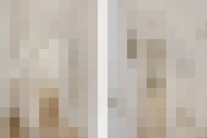 Margrietlaan 9 Zuidlaren thumbnail 22
