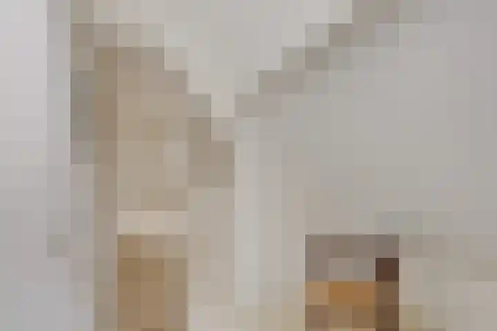 Margrietlaan 9 Zuidlaren thumbnail 23