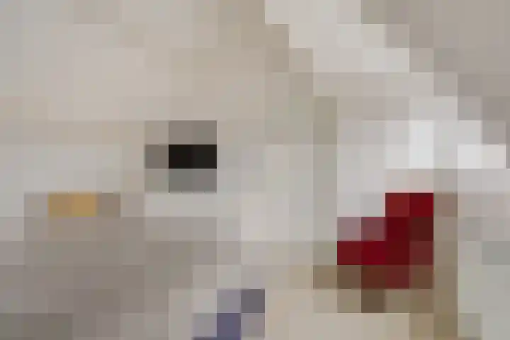 Margrietlaan 9 Zuidlaren thumbnail 26