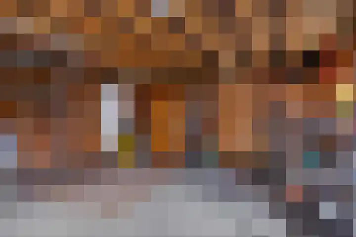 Margrietlaan 9 Zuidlaren thumbnail 38