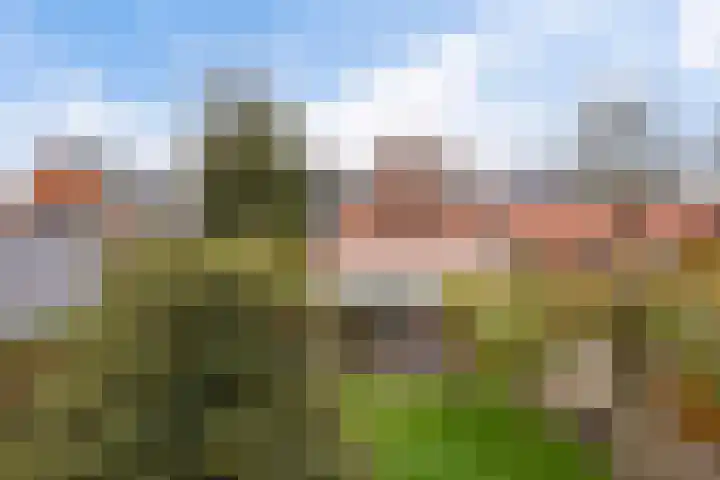 Margrietlaan 9 Zuidlaren thumbnail 40