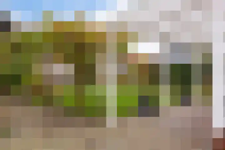 Margrietlaan 9 Zuidlaren thumbnail 42