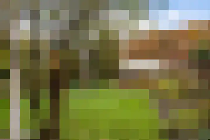 Margrietlaan 9 Zuidlaren thumbnail 43