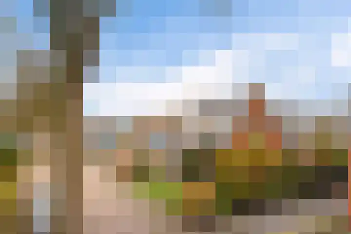 Margrietlaan 9 Zuidlaren thumbnail 44