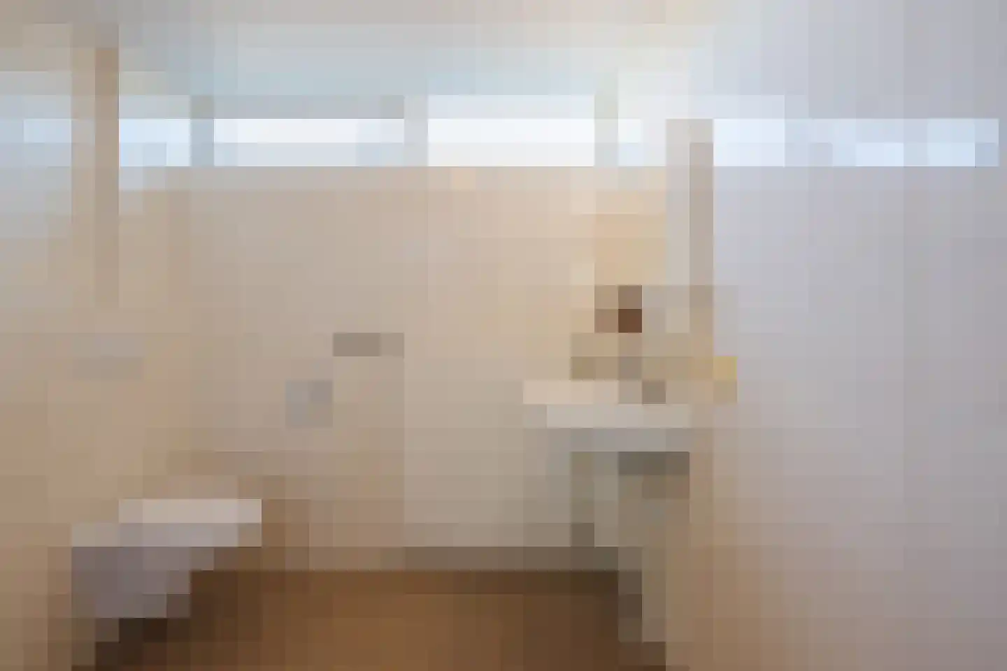 Margrietplein 9 Nieuwleusen thumbnail 15