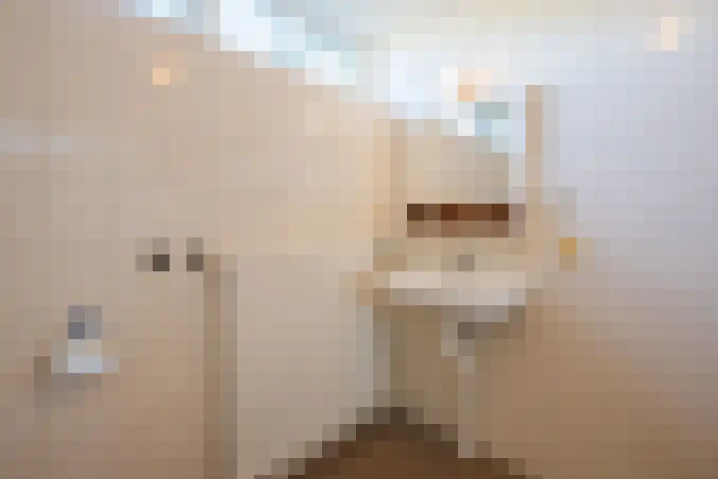 Margrietplein 9 Nieuwleusen thumbnail 16