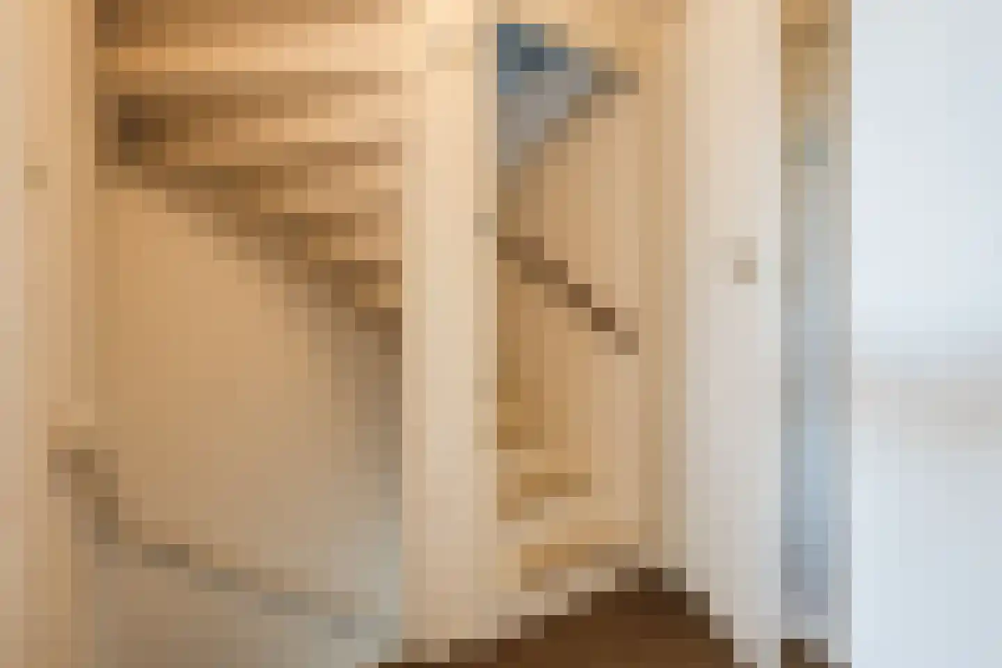 Margrietplein 9 Nieuwleusen thumbnail 21