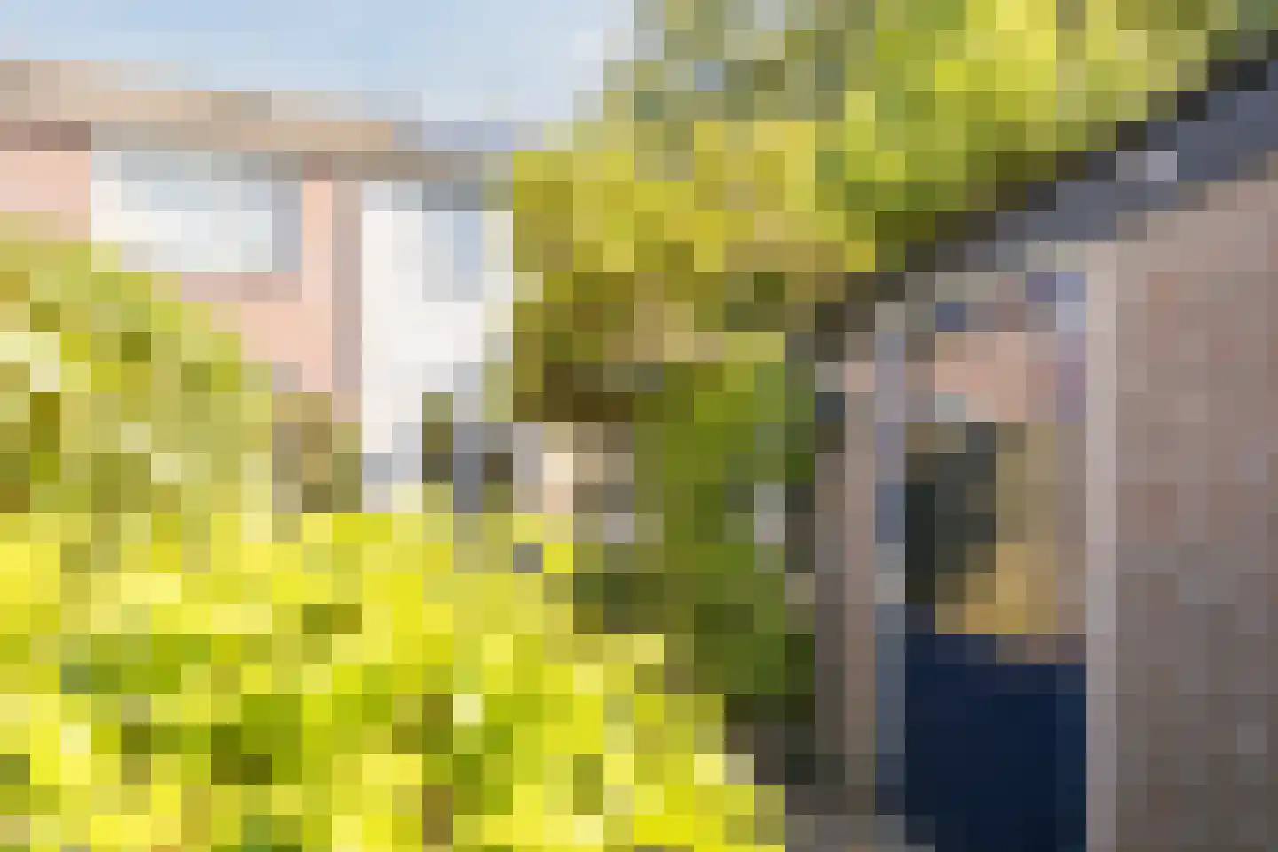 Margrietplein 9 Nieuwleusen thumbnail 29