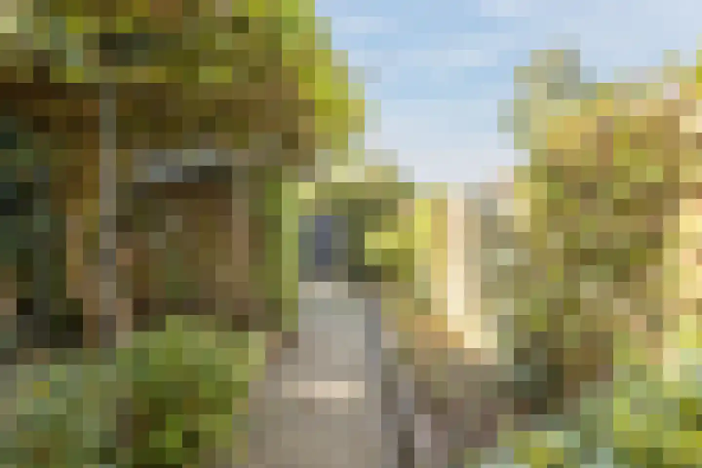 Margrietplein 9 Nieuwleusen thumbnail 31