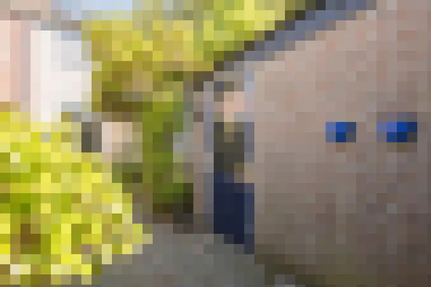 Margrietplein 9 Nieuwleusen thumbnail 32