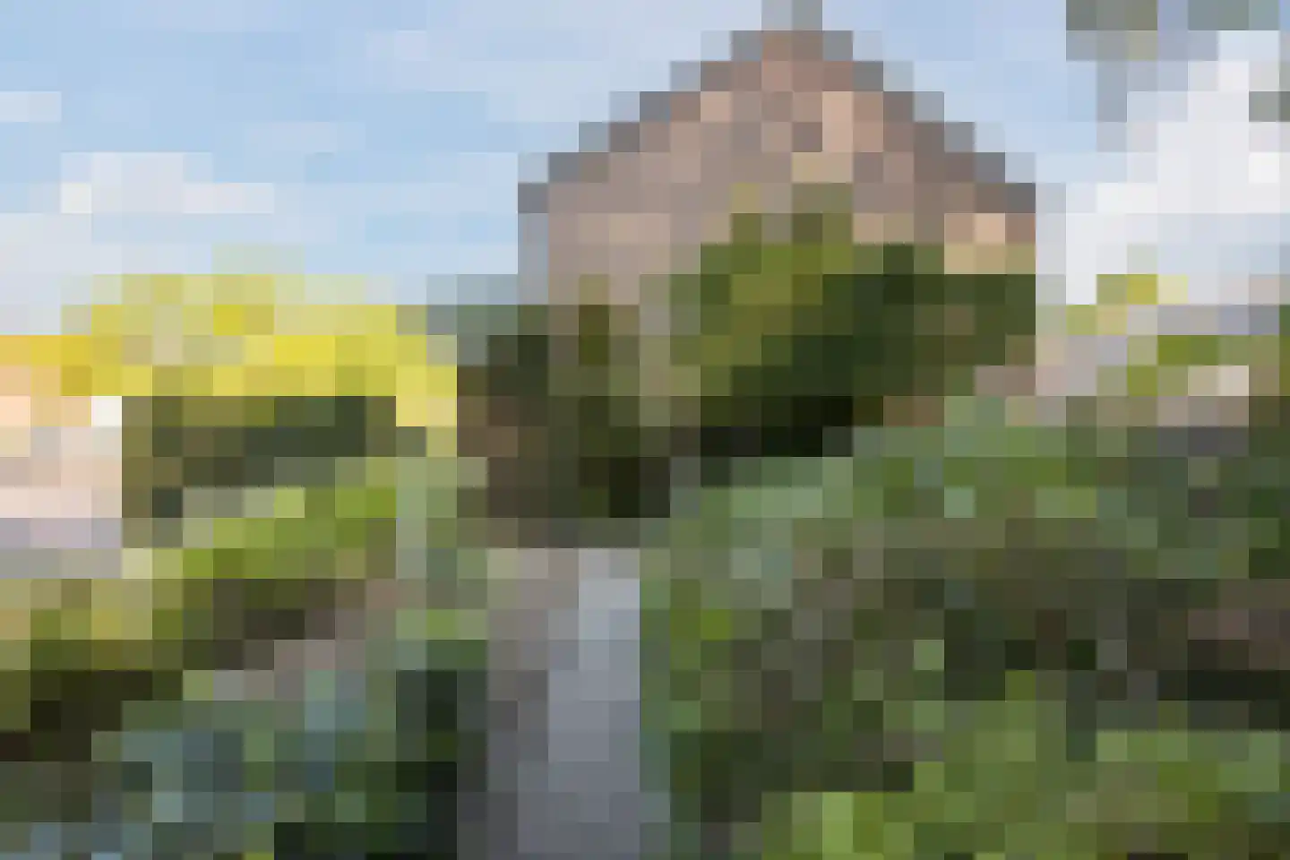 Margrietplein 9 Nieuwleusen thumbnail 34