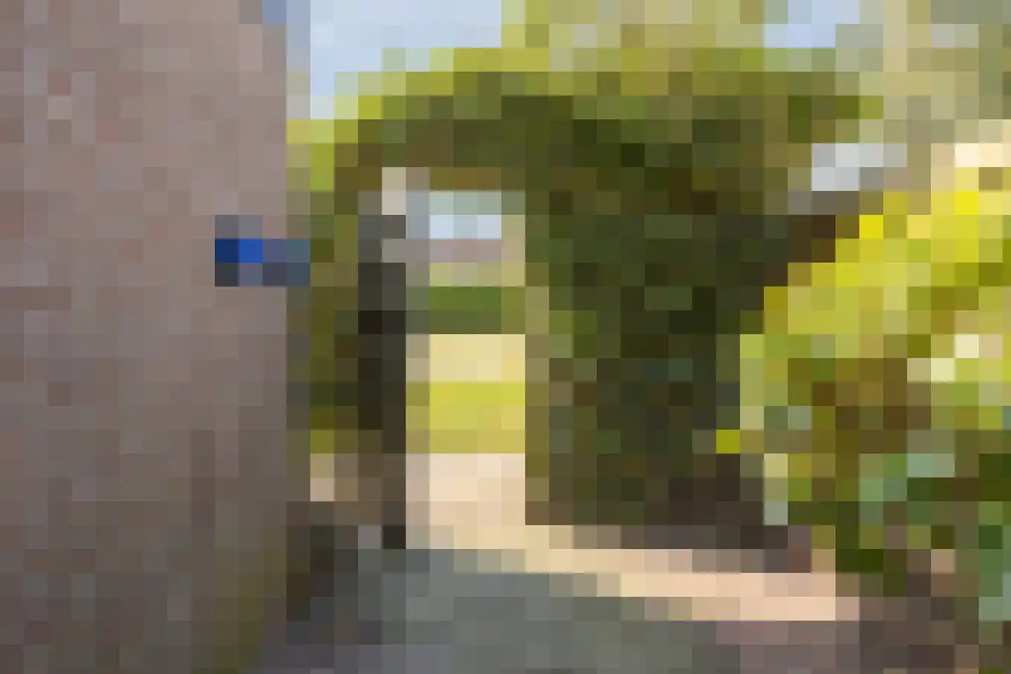 Margrietplein 9 Nieuwleusen thumbnail 35
