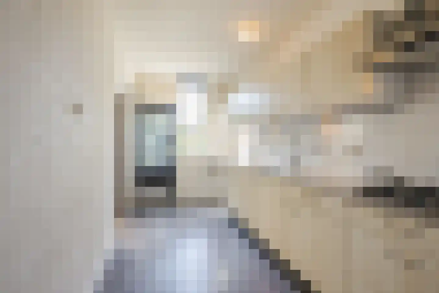 Margrietplein 9 Nieuwleusen thumbnail 8