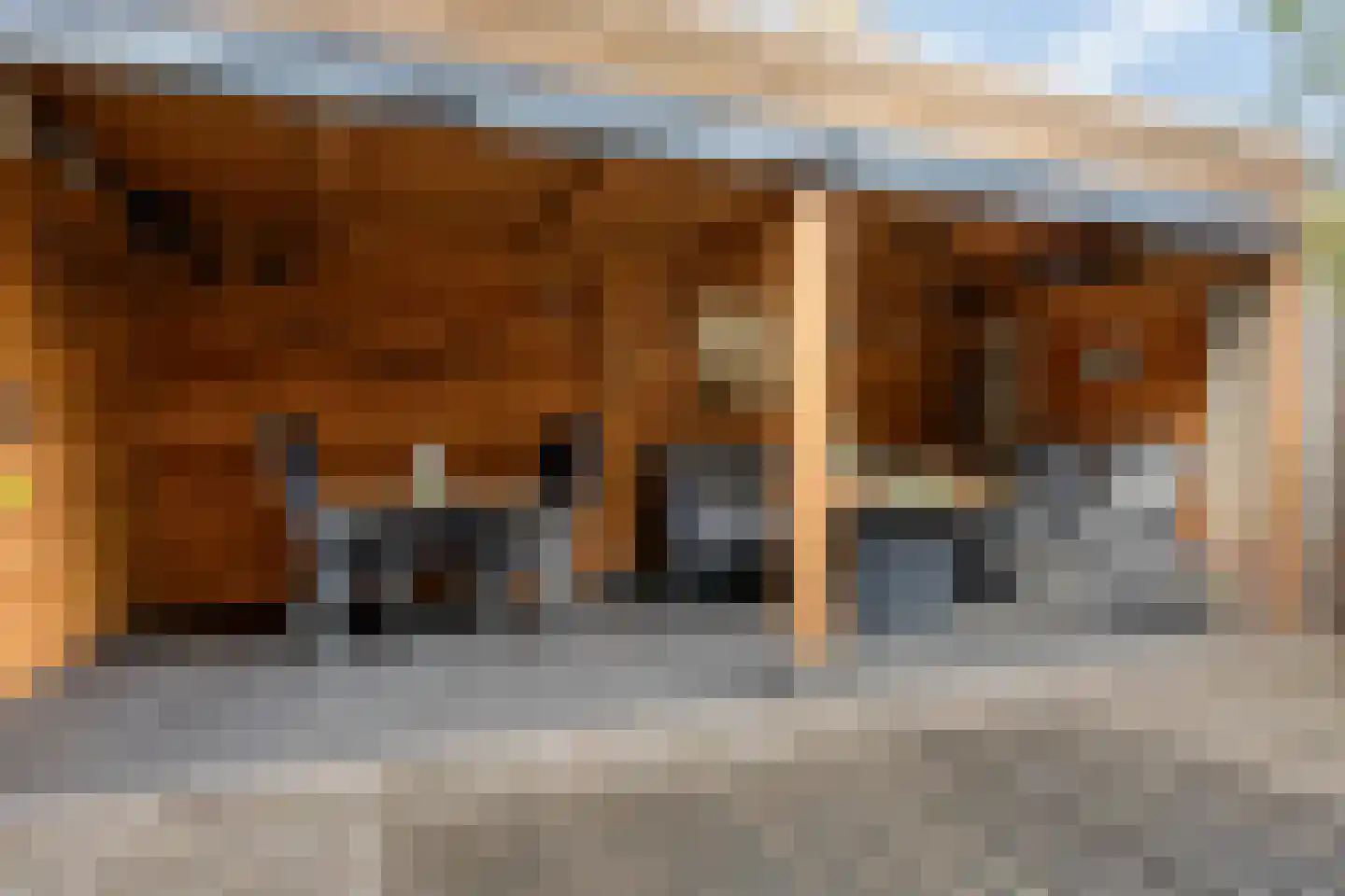 Margrietstraat 1 Beneden-Leeuwen thumbnail 42