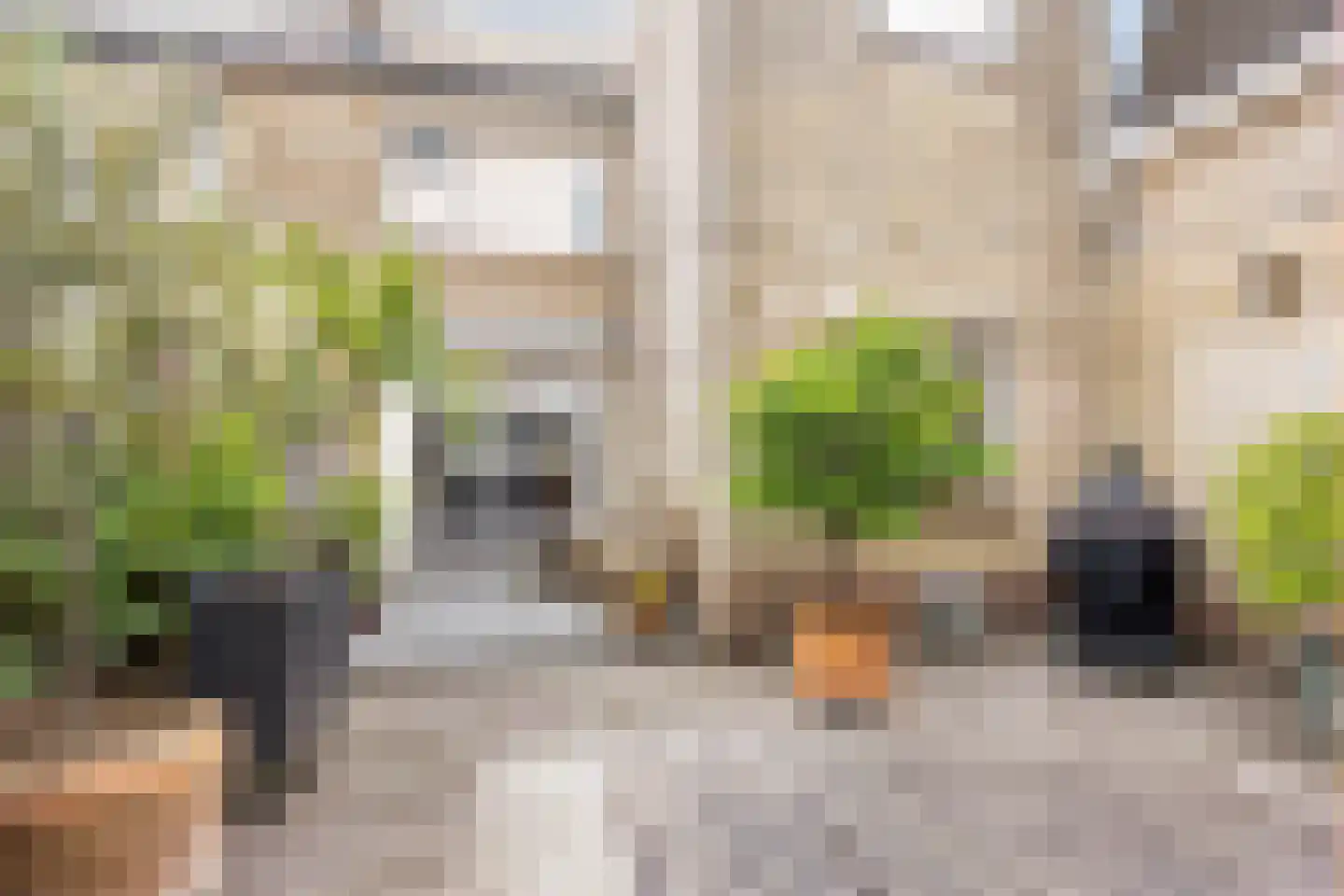 Margrietstraat 1 Beneden-Leeuwen thumbnail 45