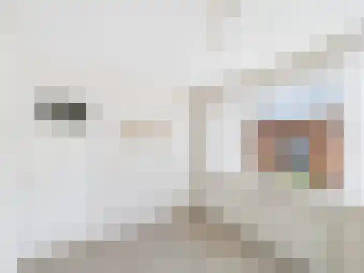 Margrietstraat 1 Hoek thumbnail 15