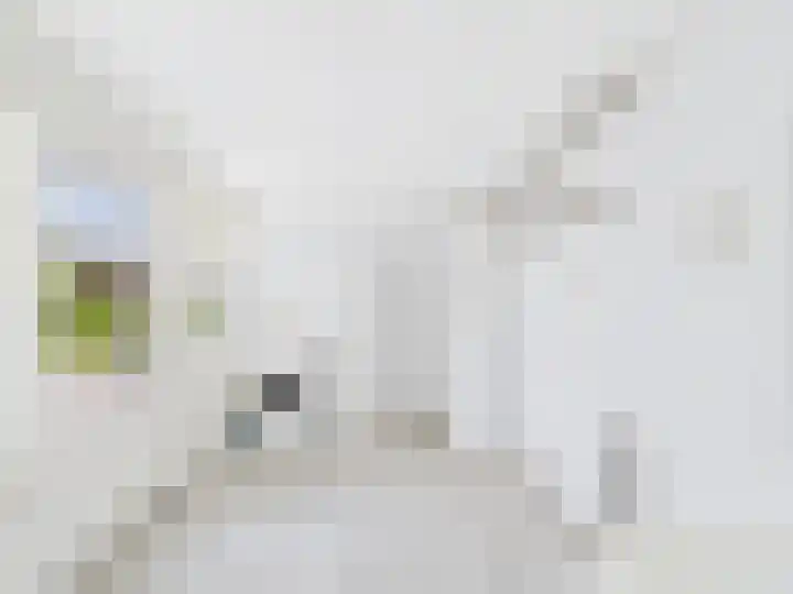 Margrietstraat 1 Hoek thumbnail 7