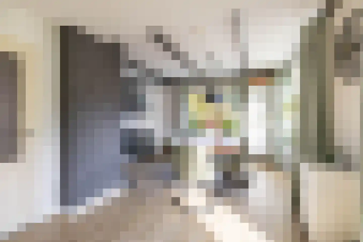Margrietstraat 1 Norg thumbnail 20