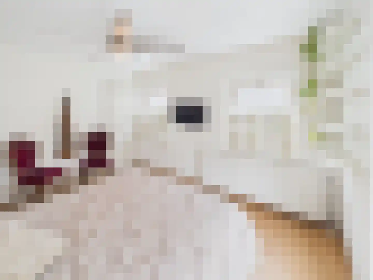 Margrietstraat 1 Terneuzen thumbnail 23