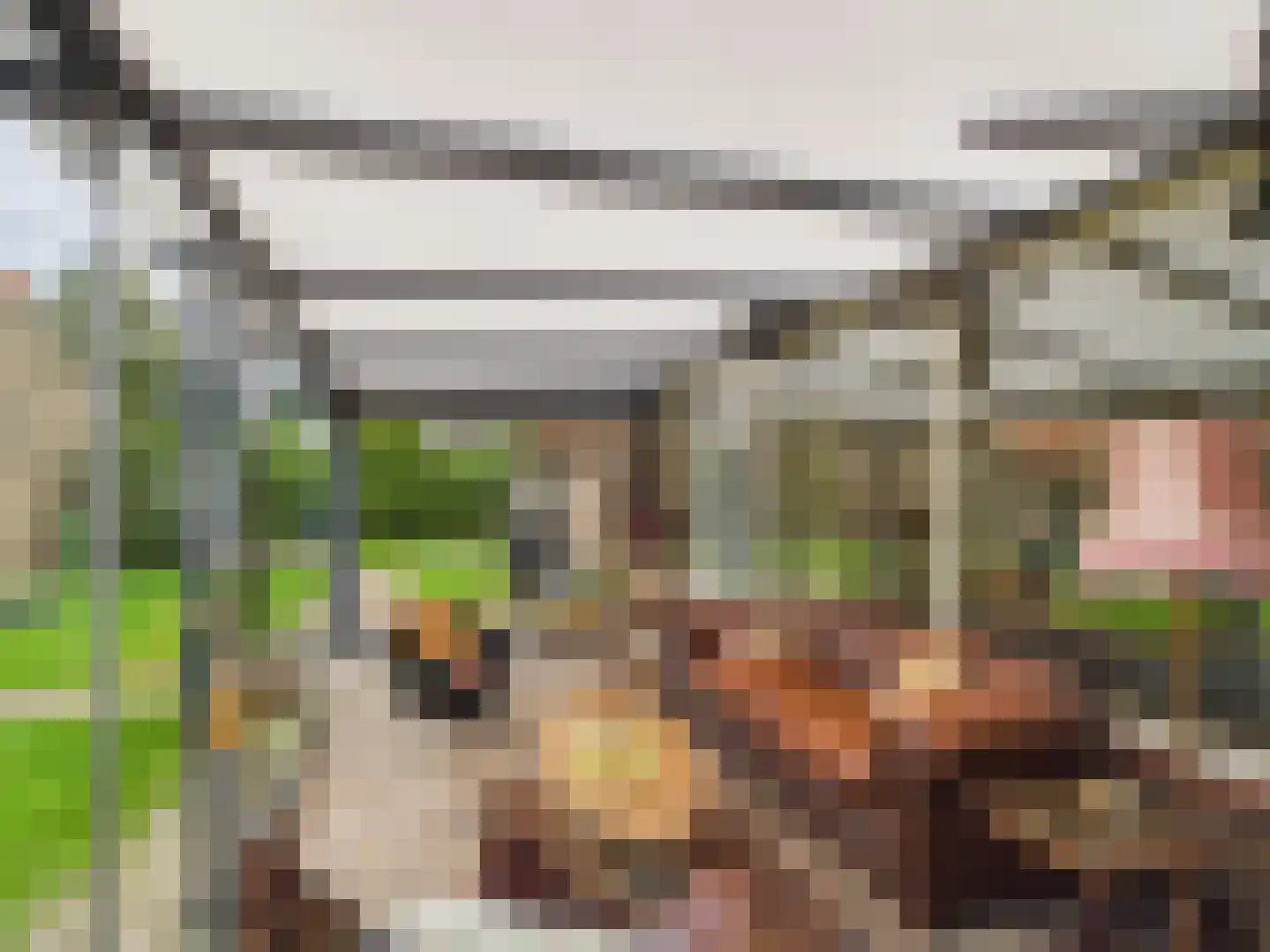 Margrietstraat 1 Terneuzen thumbnail 33