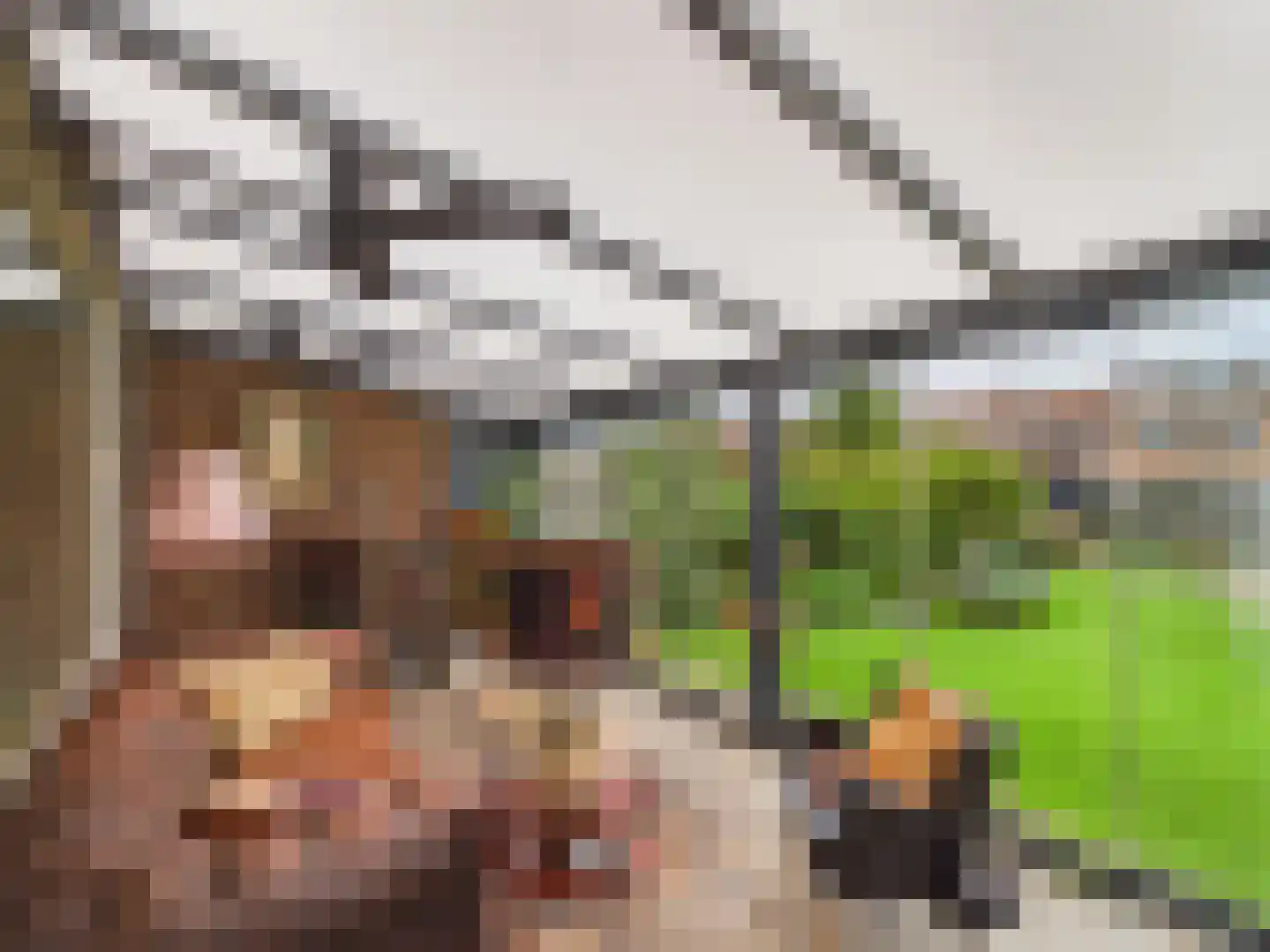 Margrietstraat 1 Terneuzen thumbnail 34