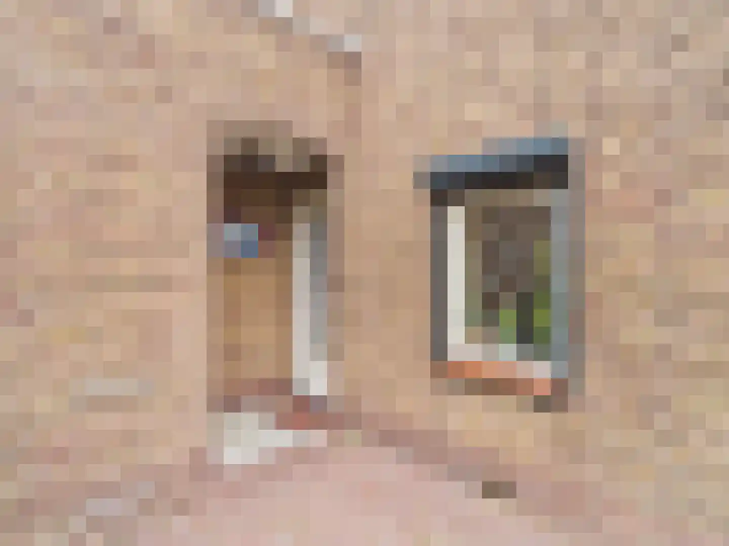 Margrietstraat 1 Terneuzen thumbnail 49