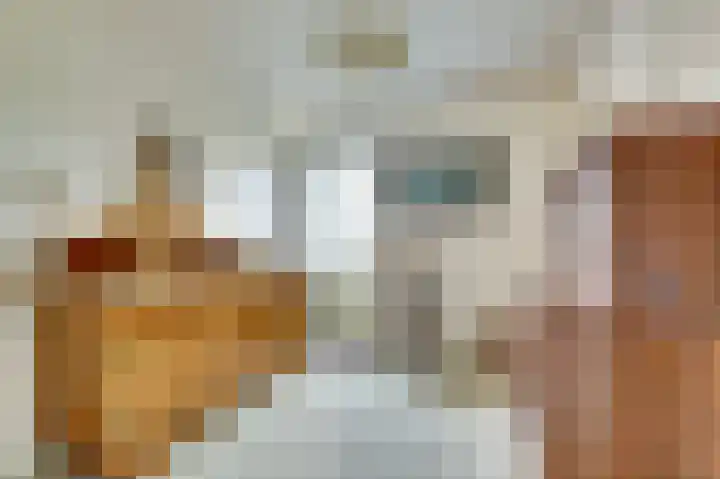 Margrietstraat 1 Yerseke thumbnail 10