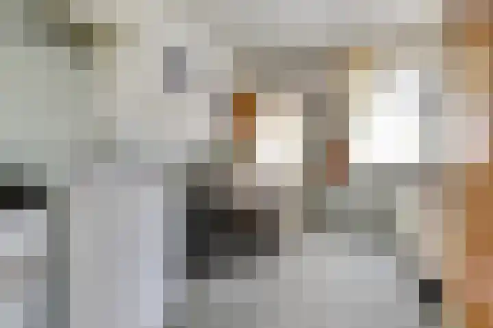 Margrietstraat 1 Yerseke thumbnail 14