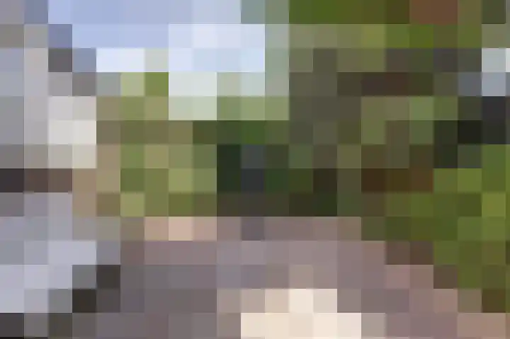 Margrietstraat 1 Yerseke thumbnail 25
