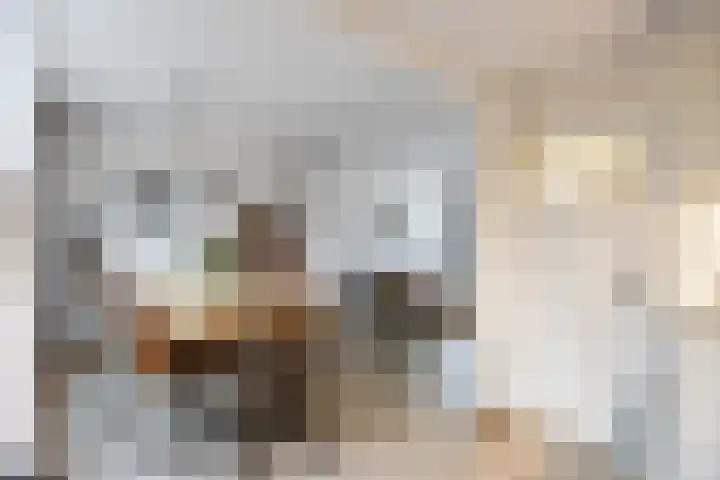 Margrietstraat 1 Zoutkamp thumbnail 10