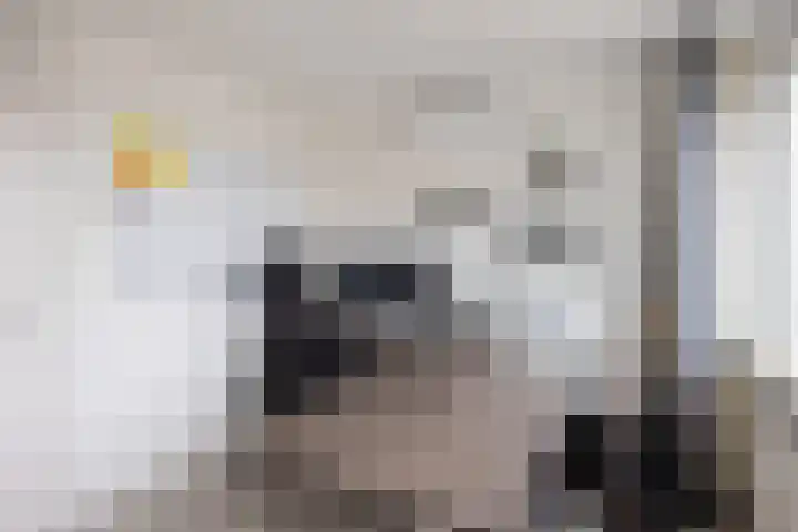 Margrietstraat 1 Zoutkamp thumbnail 20