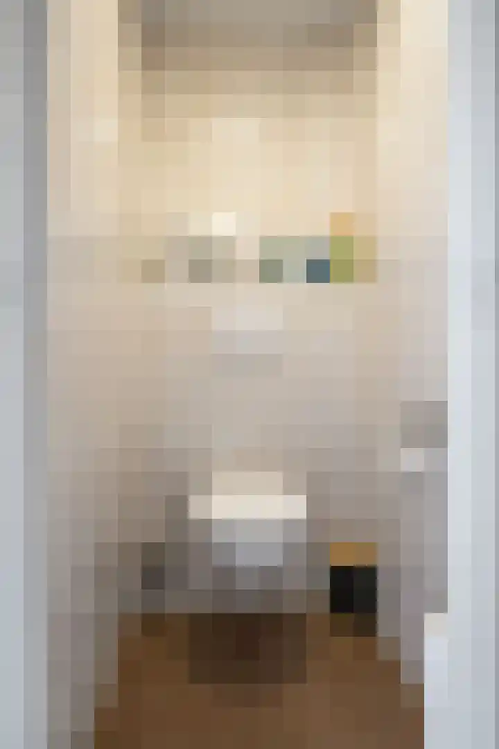 Margrietstraat 1 Zoutkamp thumbnail 7