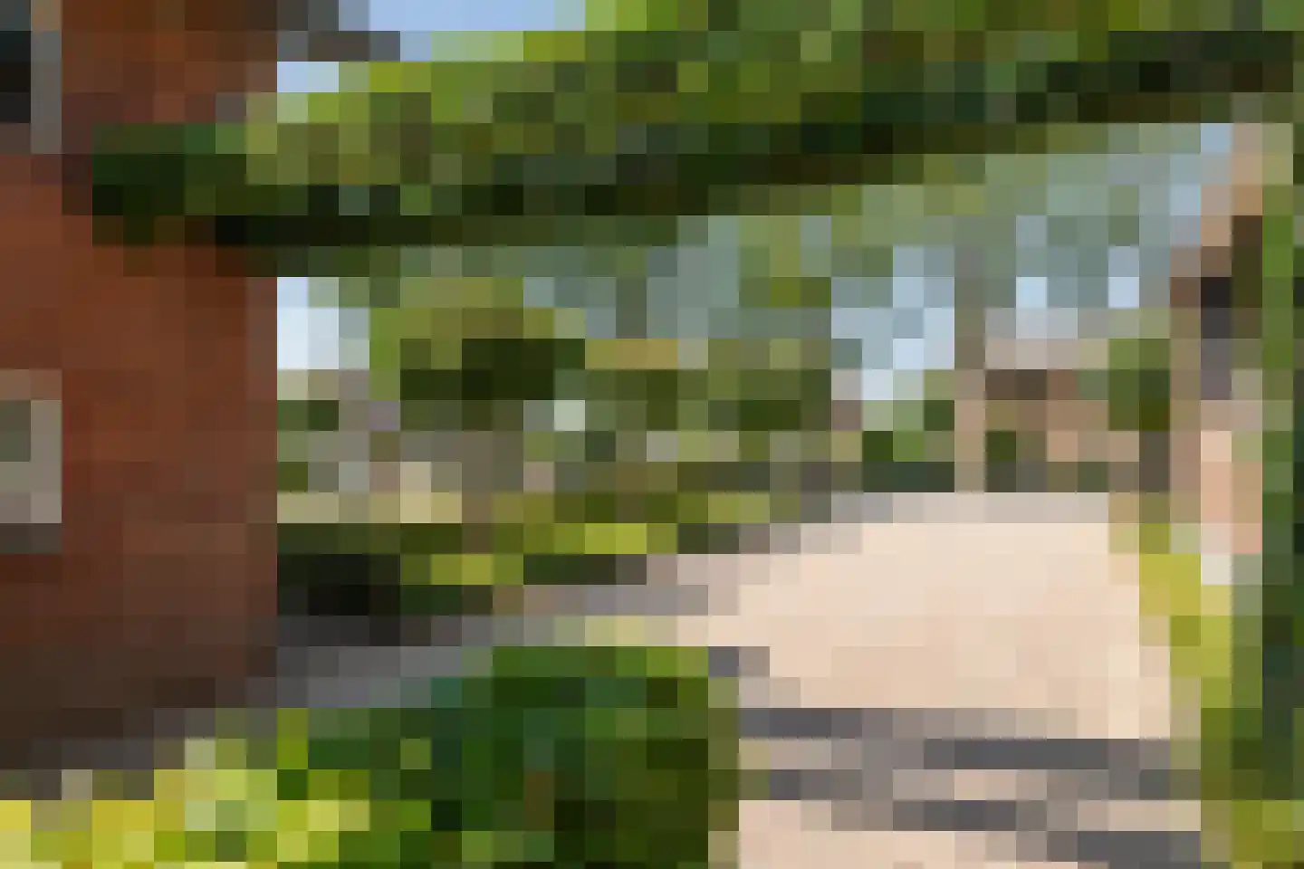Margrietstraat 10 Dreumel thumbnail 10