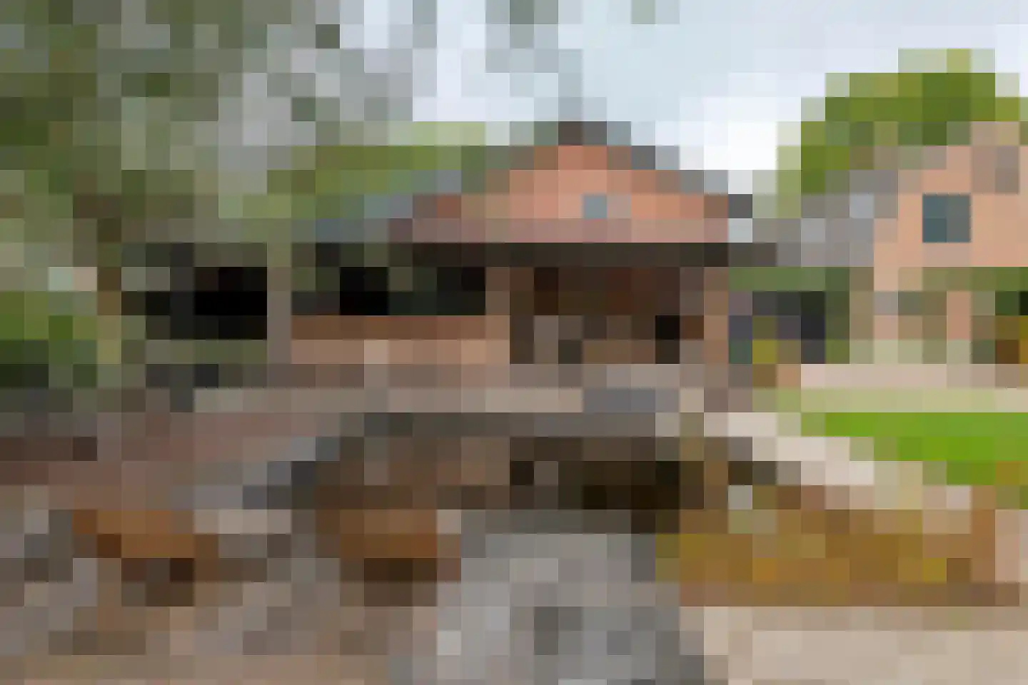 Margrietstraat 10 Dreumel thumbnail 11