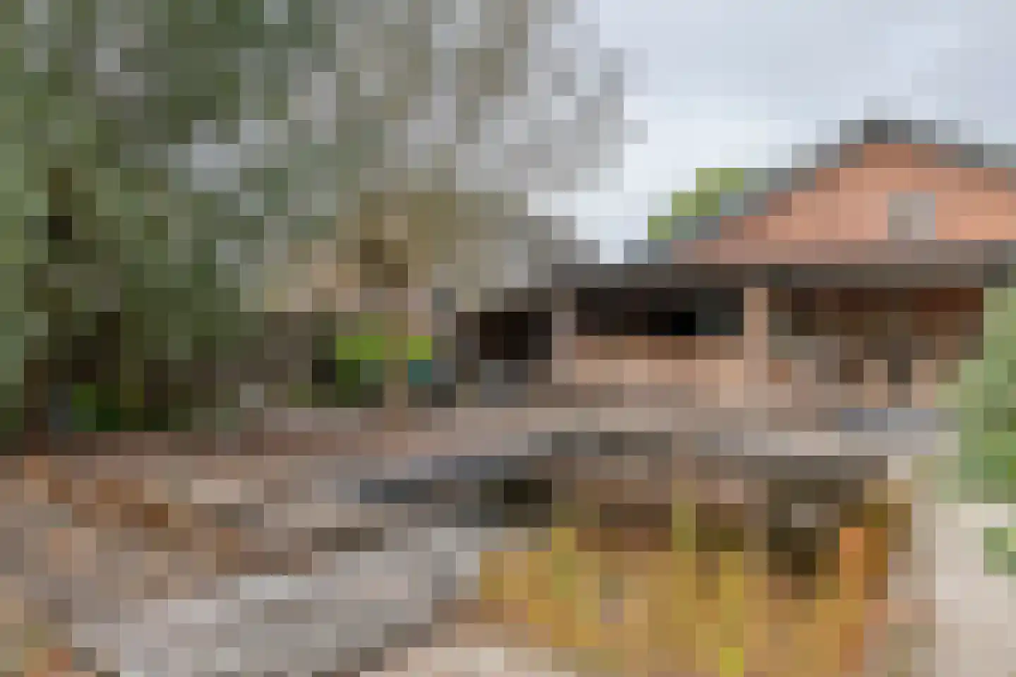 Margrietstraat 10 Dreumel thumbnail 12