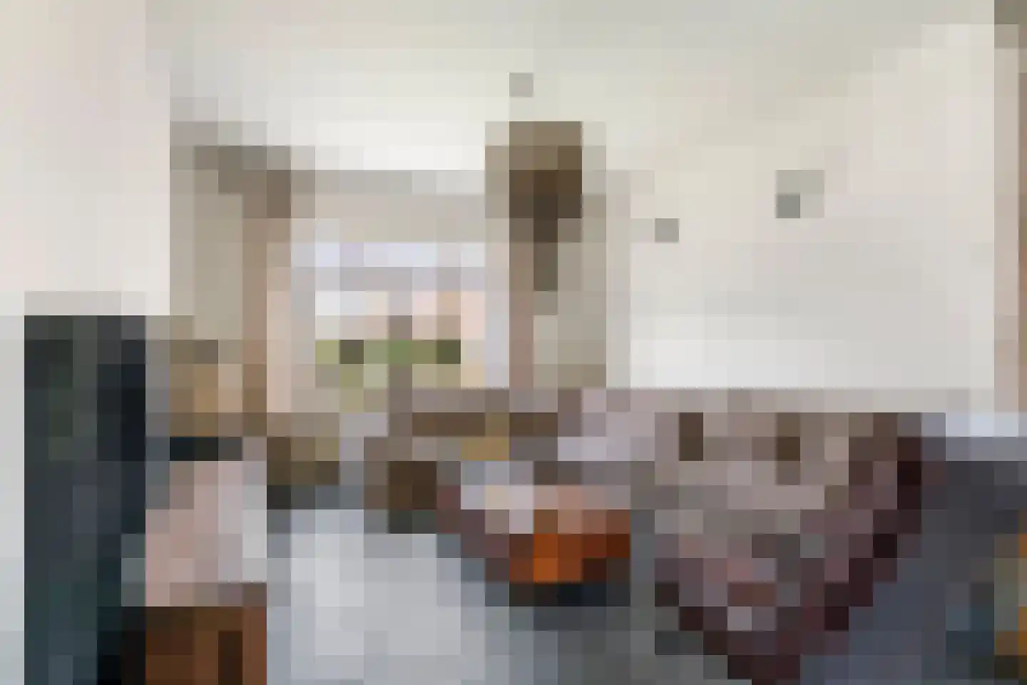 Margrietstraat 10 Dreumel thumbnail 18