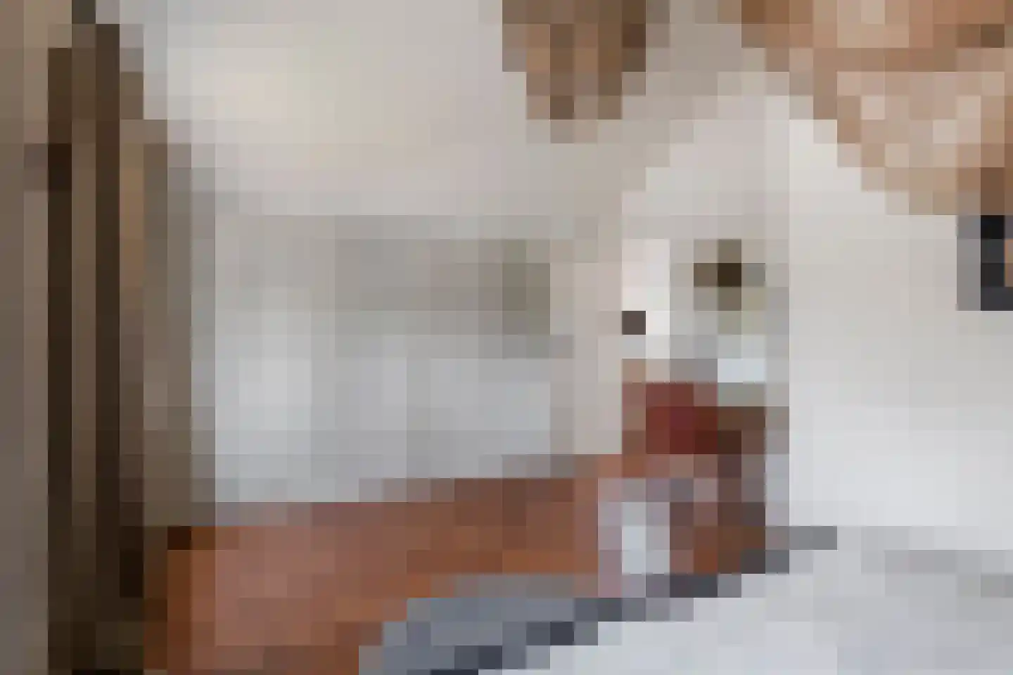 Margrietstraat 10 Dreumel thumbnail 32