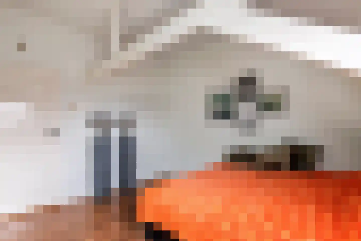 Margrietstraat 10 Dreumel thumbnail 35