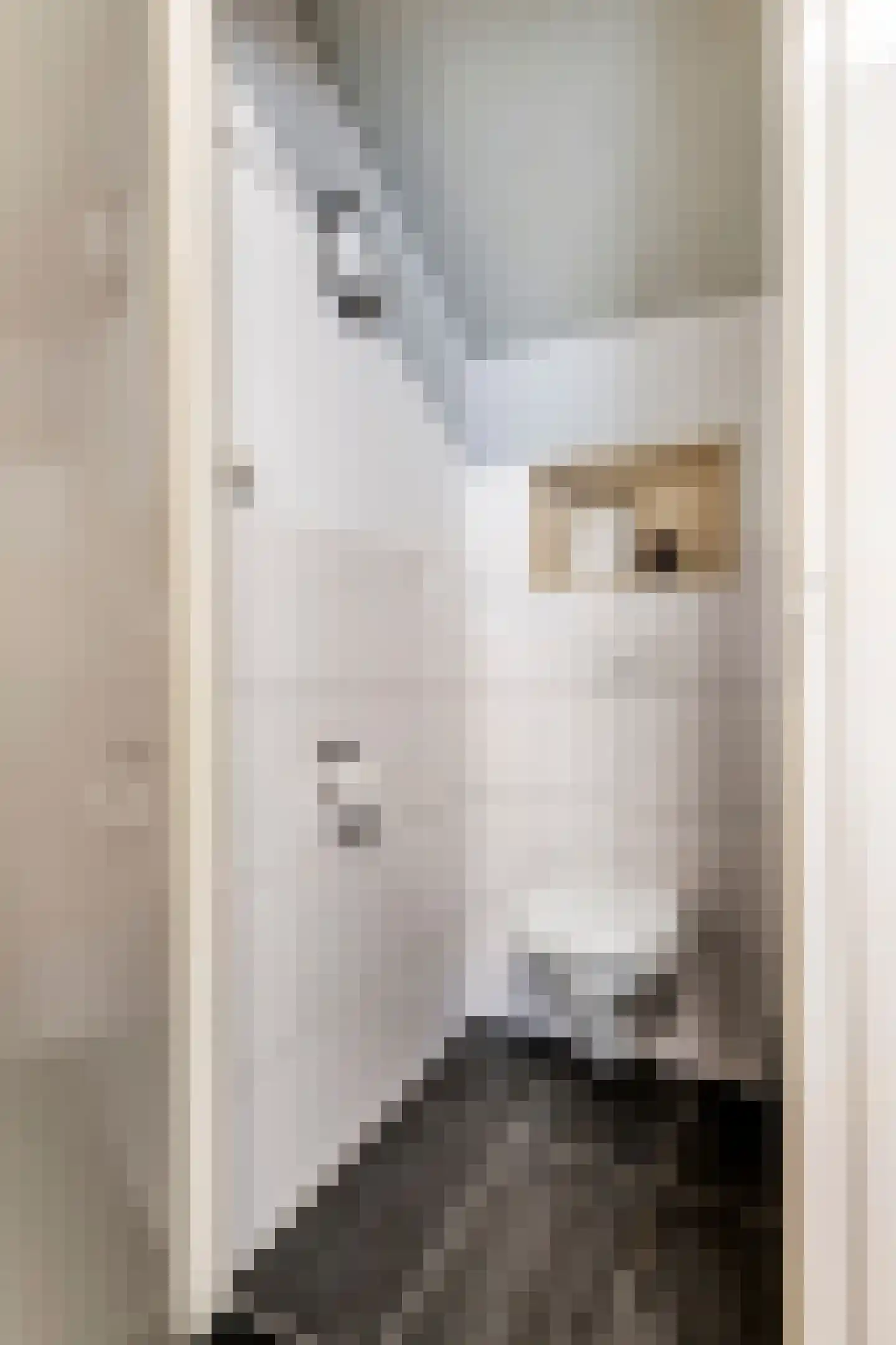 Margrietstraat 10 Dreumel thumbnail 52