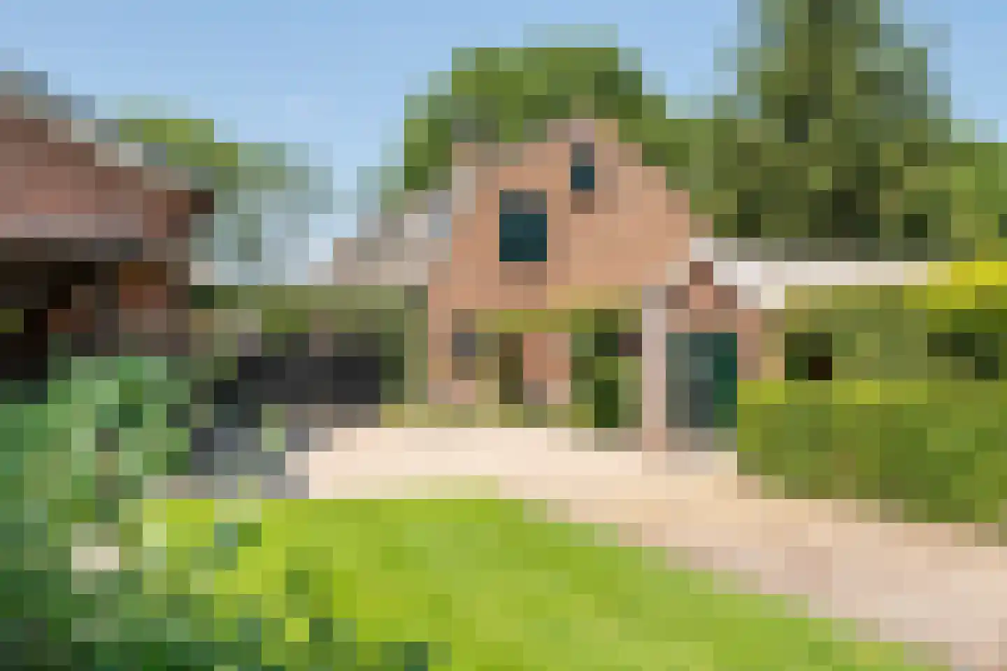 Margrietstraat 10 Dreumel thumbnail 59
