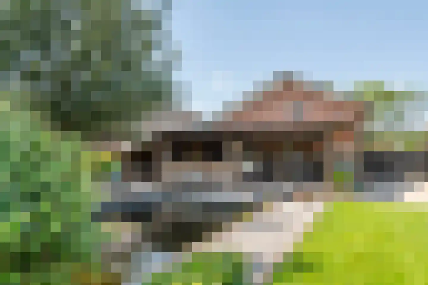 Margrietstraat 10 Dreumel thumbnail 66