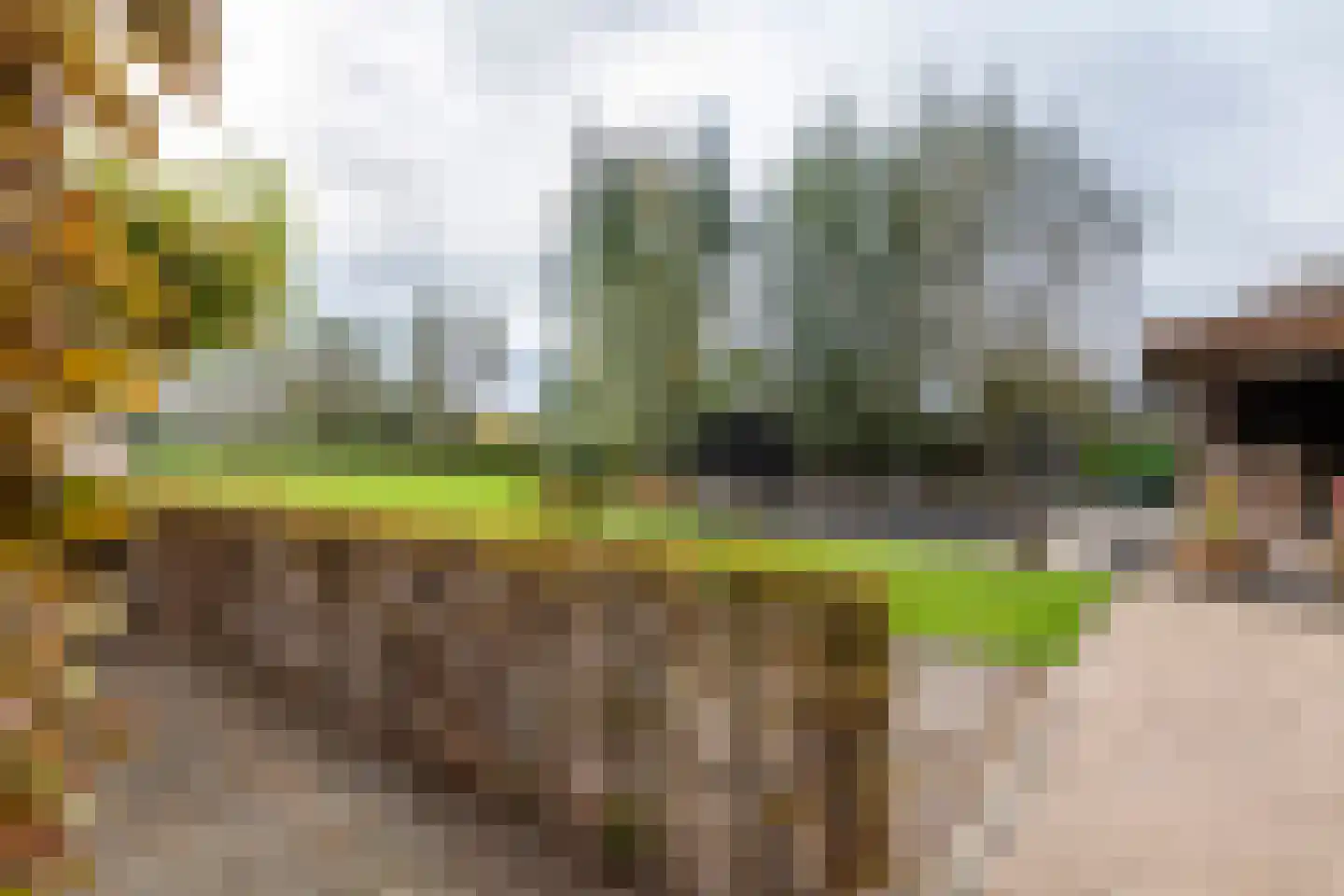 Margrietstraat 10 Dreumel thumbnail 69