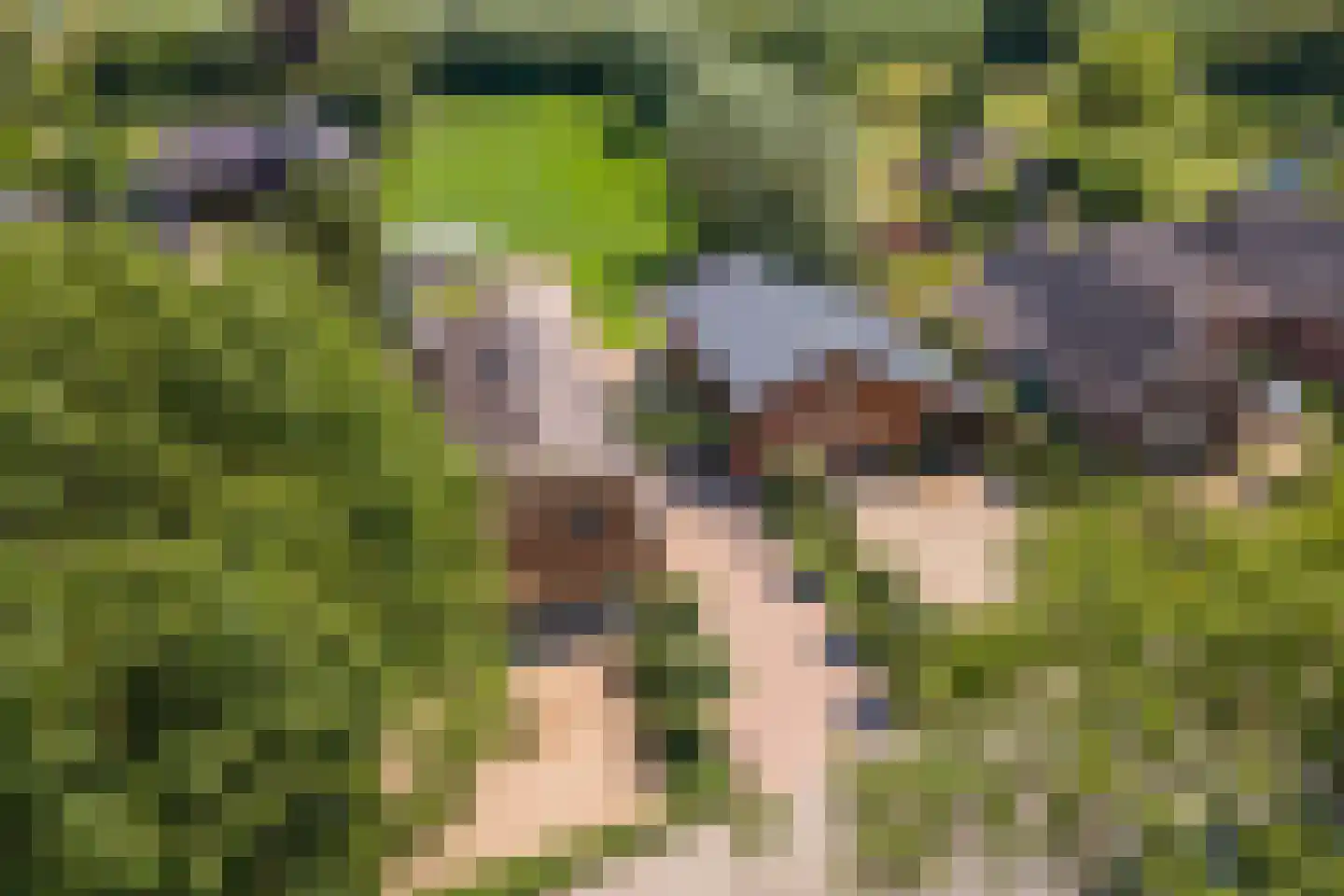Margrietstraat 10 Dreumel thumbnail 7