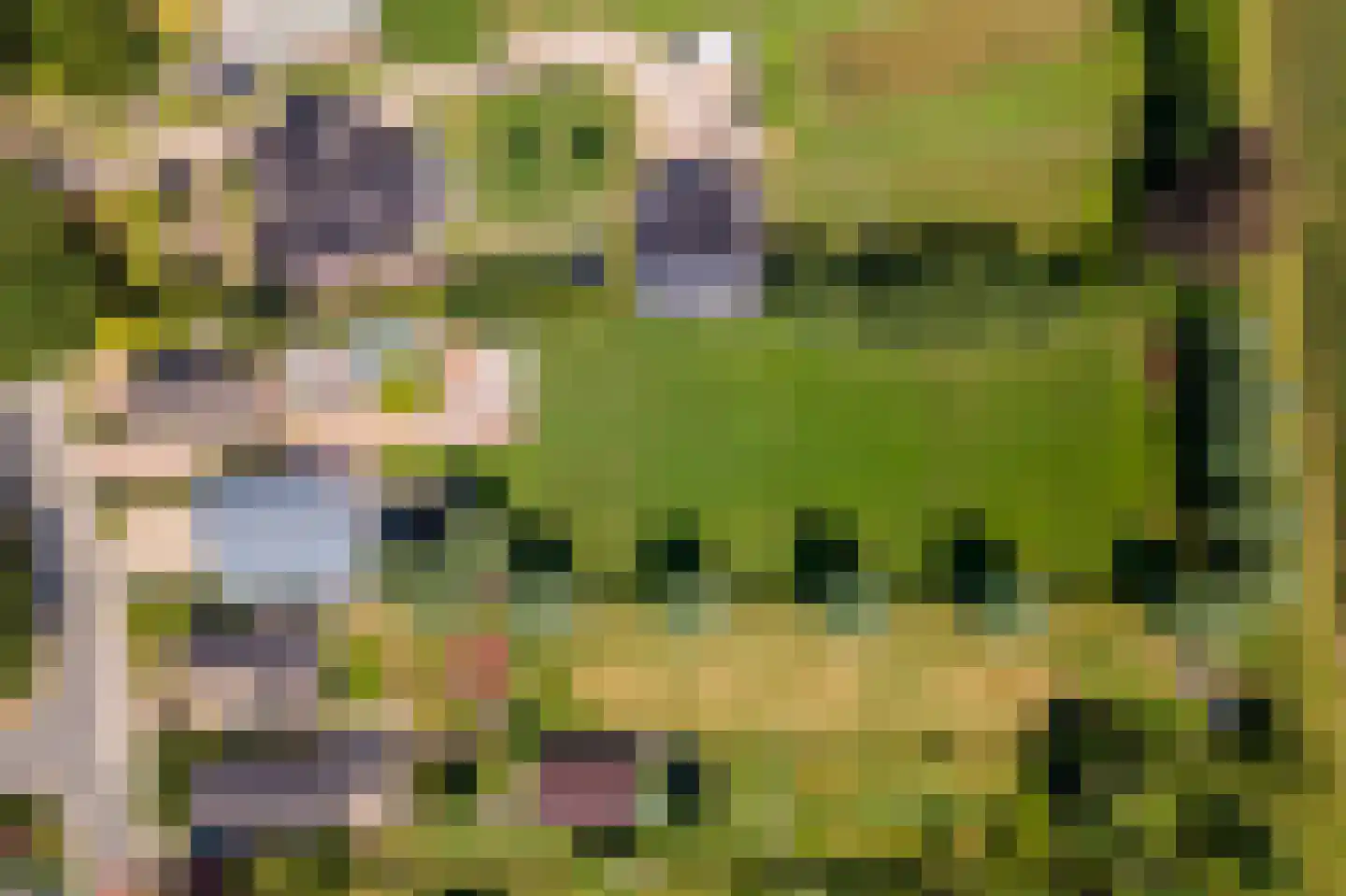 Margrietstraat 10 Dreumel thumbnail 72