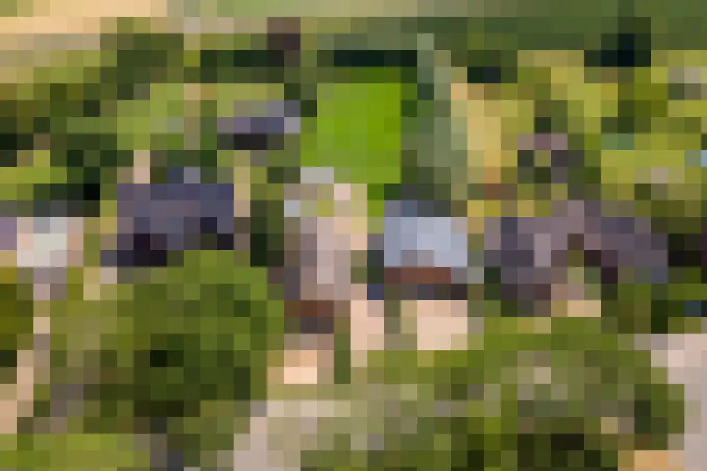 Margrietstraat 10 Dreumel thumbnail 75