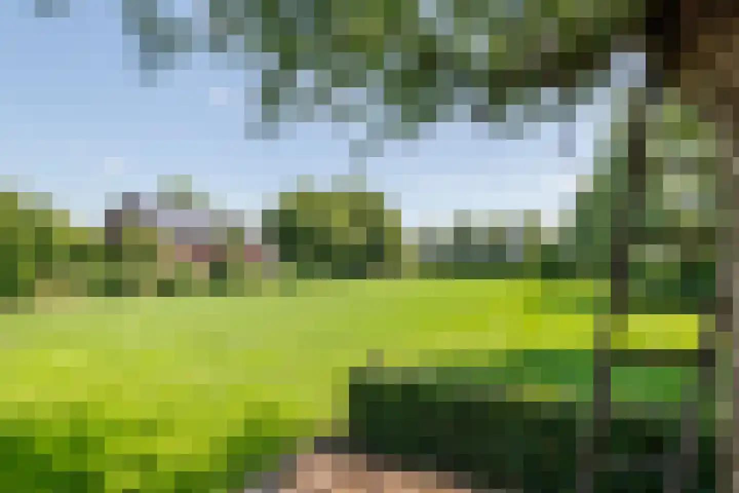 Margrietstraat 10 Dreumel thumbnail 9