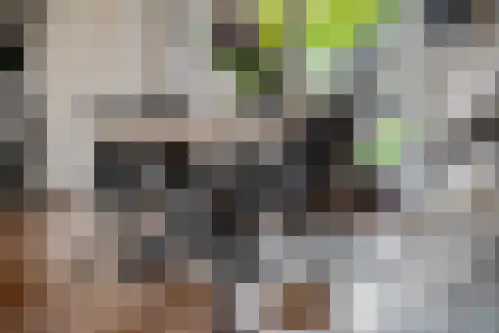 Margrietstraat 10 Gendt thumbnail 15