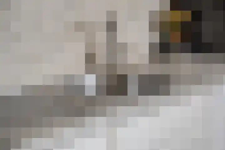 Margrietstraat 10 Gendt thumbnail 18